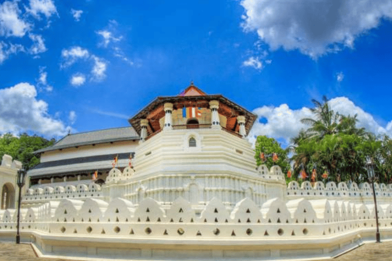 9-Day Romantic Getaway: Honeymoon Tour in Sri Lanka