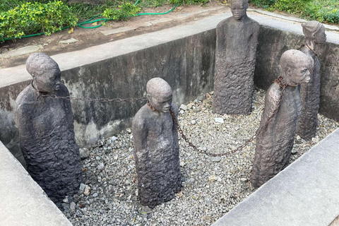 桑给巴尔石头城徒步导览和乔扎尼森林