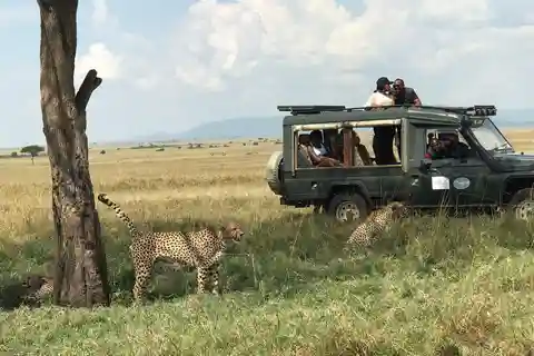 Nairobi: National Park and Giraffe Center Day Trip and lunch