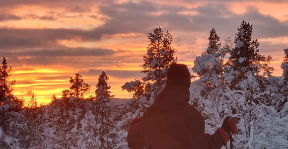 Kiruna: Small-Group Snowshoe Tour with Fika
