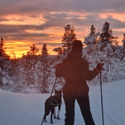 Kiruna : randonnée en raquettes en petit groupe avec pause café