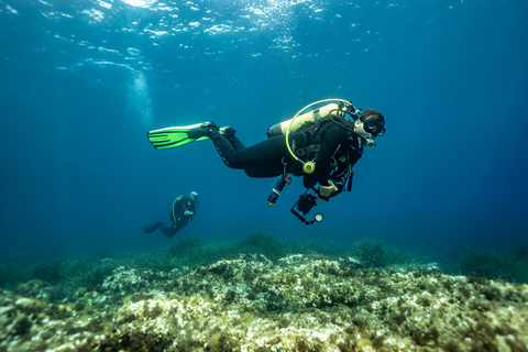 Try Scuba Diving in Cala d'Or – No Experience Needed