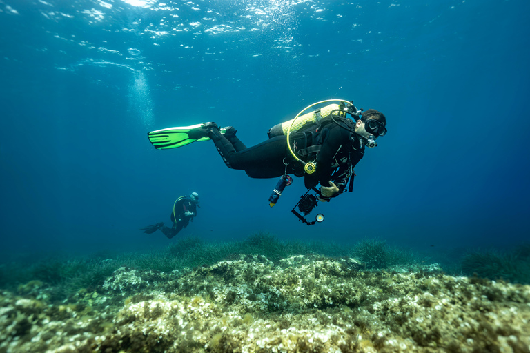 Try Scuba Diving in Cala d'Or – No Experience Needed