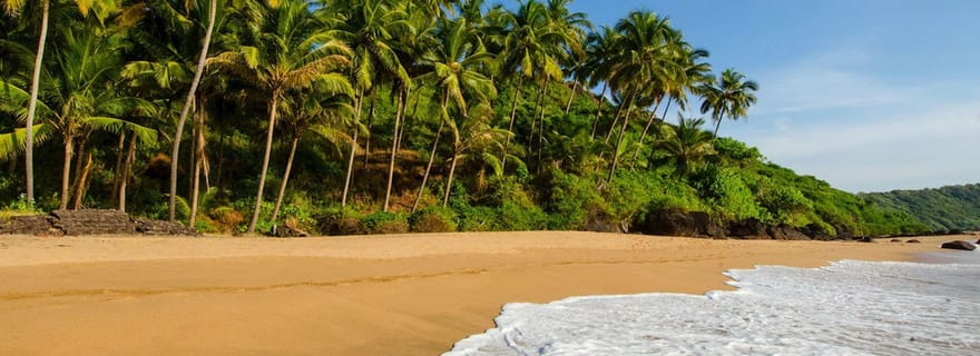 Goa : Visite de 5 jours des plages, des forts et du patrimoine