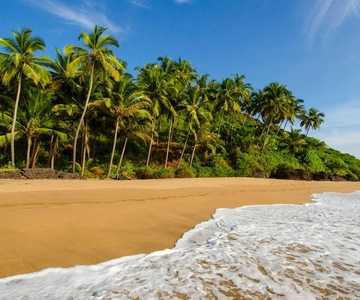 Goa: 5-Day Beaches, Forts, and Heritage Tour
