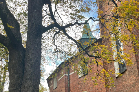 Visita privata di Turku in auto da Helsinki: Cattedrale e Castello