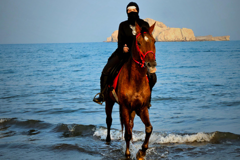 Equitazione a Muscat | Equitazione in spiaggiaMuscat: esperienza di equitazione sulla spiaggia di Al Sawadi