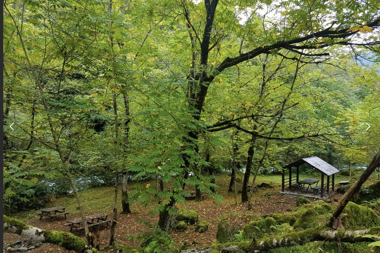From Batumi: Mtirala National Park Private Tour with BBQ