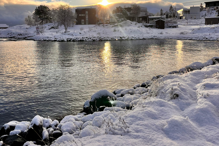 Narvik/Harstad : Excursion d&#039;une journée dans les Fjords avec arrêt à la ferme des rennes