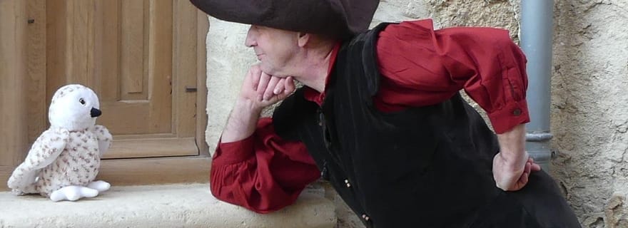 Doué la Fontaine : visite historique de la ville avec dégustation de vin