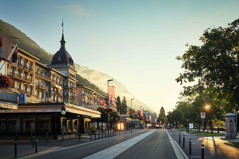 Z Lucerny: Jednodniowa wycieczka do Interlaken