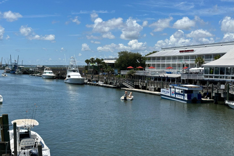 Charleston: Rejs w poszukiwaniu delfinów z Shem Creek