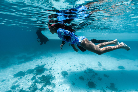 Muscat: Unforgettable Private Daymaniyat Boat Experience