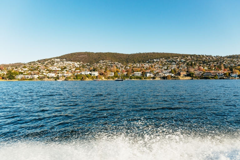 Hobart: croisière sur phare en fer à 2,5 heures