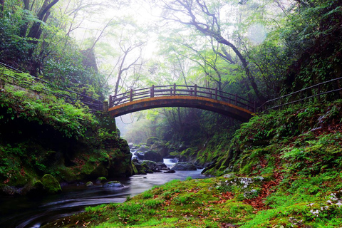 From Fukuoka: Miyazaki, Takachiho Gorge and Shrines Day Tour