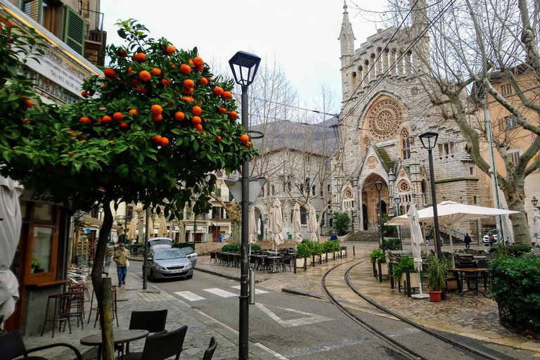 Mallorca: viaje en tren y tranvía desde Palma a SóllerMallorca: Viaje en tren y tranvía desde Palma a Sóller