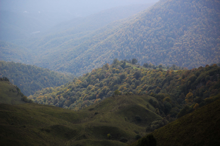 Dilijan National Park tours and off roading