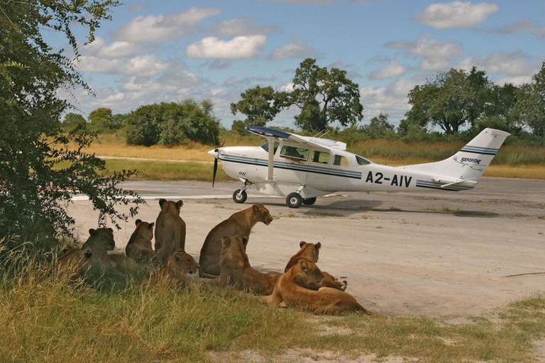 Z Zanzibaru: jednodniowa wycieczka samolotem na safari do Mikumi