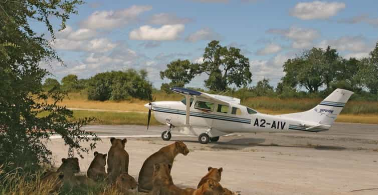 Von Sansibar Tagesausflug Safari Nach Mikumi Per Flug Getyourguide