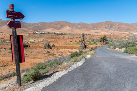 From Caleta de Fuste: Explore Rural Fuerteventura Tour