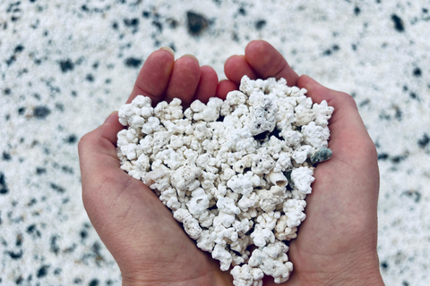 Lobos Island, Popcorn Beach, & Dunes Tour