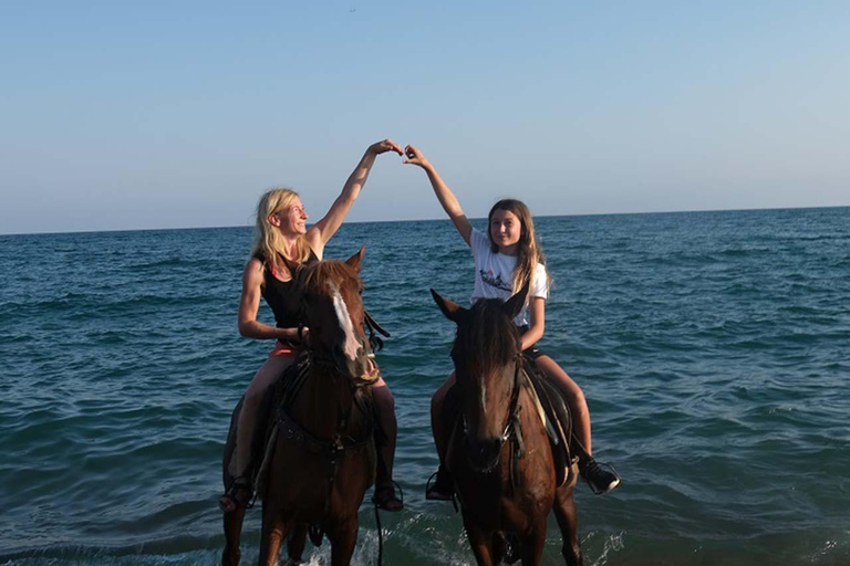 Antalya : équitation en bord de mer et dans la forêtAntalya : Balade à cheval en bord de mer et en forêt