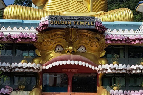 Sigiriya Rock, Dambulla Cave & Cart Rides One Day Trip Luxury Tour from Colombo, Negombo or Mount Lavinia