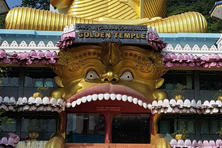 Sigiriya Rock, Dambulla Cave & Cart Rides One Day Trip Luxury Tour from Colombo, Negombo or Mount Lavinia