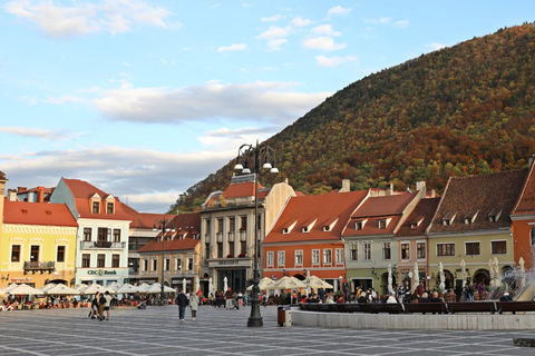 Bucharest: Bear Sanctuary and Brasov Small-Group Tour