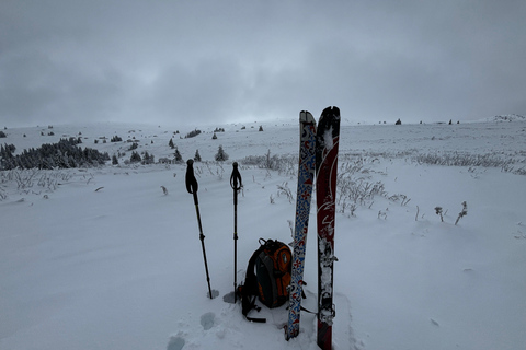 Vitosha: Ski Day Trip by Mountain Stars Ski School