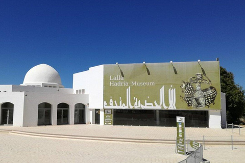 Djerba: Visit to the park and crocodile farm with transportation included