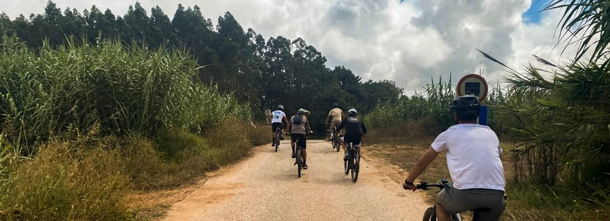 Nazaré - Óbidos en E-bike et circuit viticole
