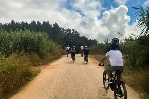 Nazaré - Óbidos E-bike and Wine tour