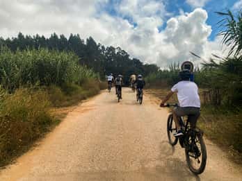Nazaré - Óbidos E-bike and Wine Tour