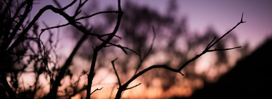 Banyuwangi : Magnifique cratère d'Ijen avec guide de la région