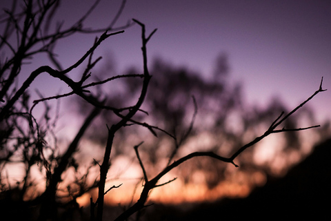 Banyuwangi: Beautiful of Ijen Crater with Local Guide