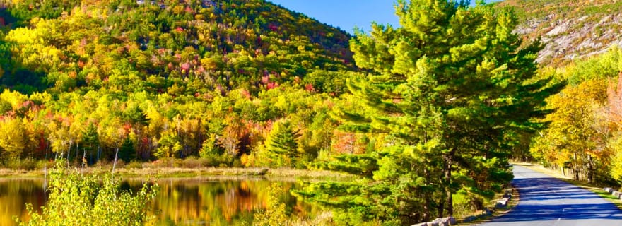 Acadia et l'île Mount Desert : visite privée d'une jounée