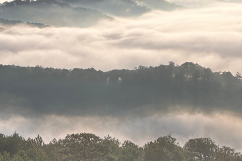 Dalat: Cloud Chasing packaged hike - Sunrise Pickup Included Group Packaged Tour - Free photo & video taken by tour guide