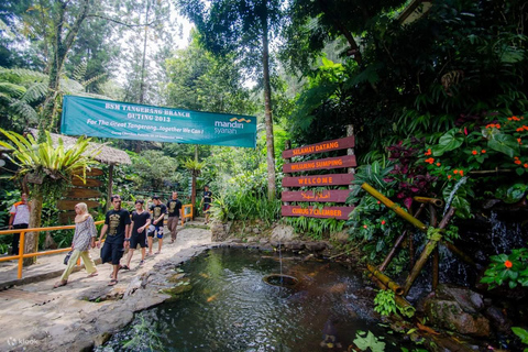 From Jakarta: Indonesia Safari & Cilember Waterfall Bogor