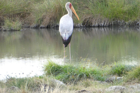 Lusaka: 5-Day Lower Zambezi Safari with Game Drives