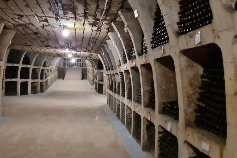 Depuis Chisinau : visite des vignobles de Cricova et de Milestii Mici