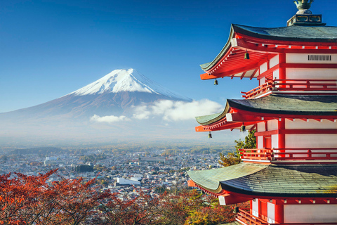 Depuis Tokyo : Excursion privée d&#039;une journée au Mont Fuji et à HakoneVisite en bus partagée du Mont Fuji