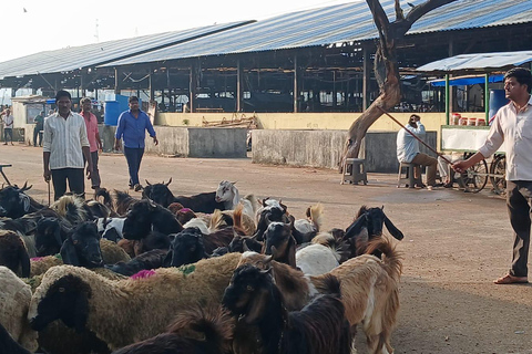 Bombay: Visita guiada al Matadero de Deonar