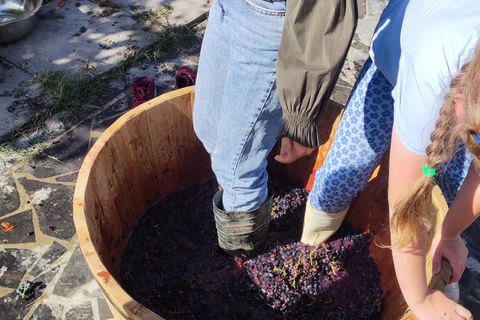 Yerevan: Wine Night Tour with Retro Car Transfers & Photos