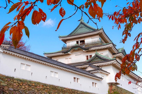 Wakayama: Hidden Coastal Nature & Sunset Tour From Osaka