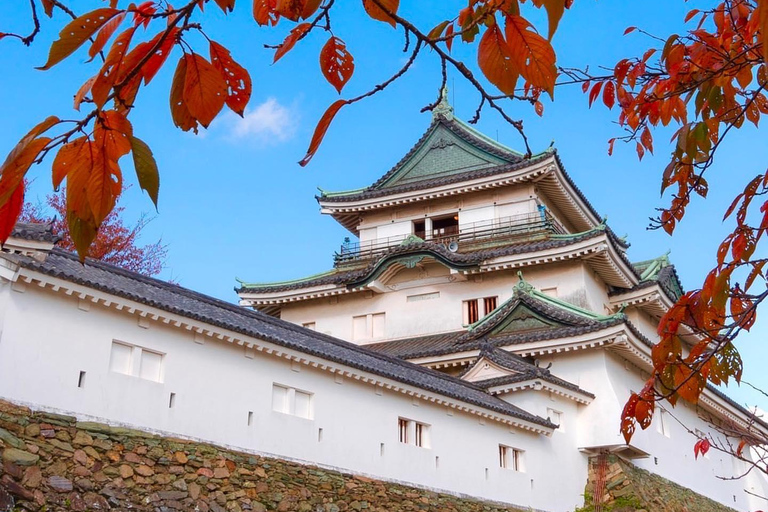 Wakayama: Hidden Coastal Nature & Sunset Tour From Osaka