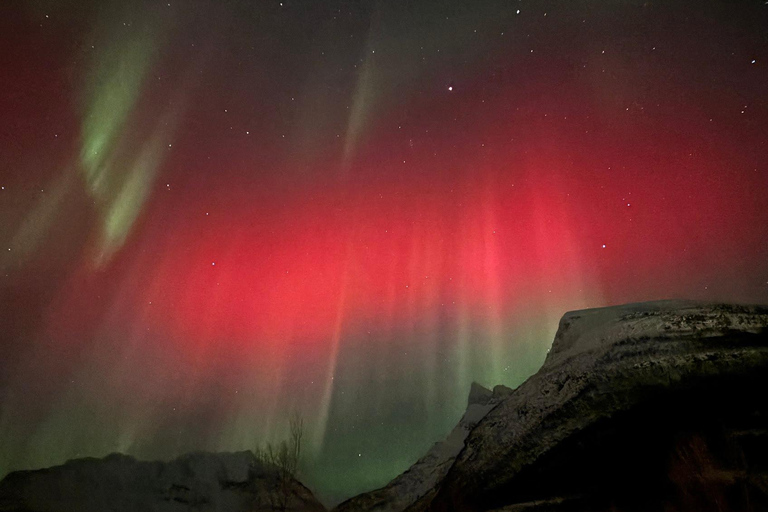 Tromsø: Sami-Kultur &amp; Joik-Erlebnis mit Mittagessen