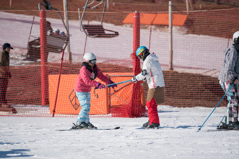 Seoul: Jisan Forest Winter Ski Day Tour with Basic Lesson SNOWBOARD Full Package - Meet at DDP Station