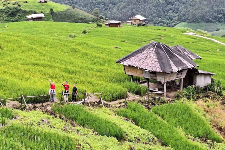 Chiang Mai : Pa Bong Piang Reisterrassen & Doi Inthanon. Foto: GetYourGuide Chiang Mai : Pa Bong Piang Reisterrassen & Doi Inthanon. Foto: GetYourGuide