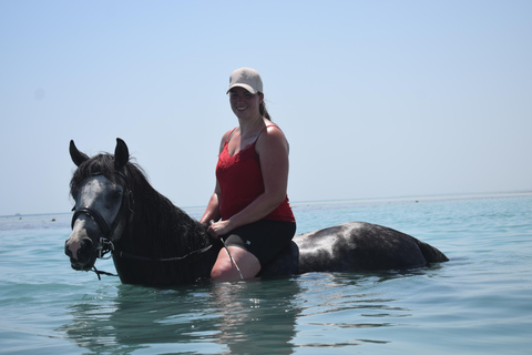 Hurghada: Swimming & Horse riding with FREE Photos & Videos 2-Hour Horse Swimming & Photos with Transfer